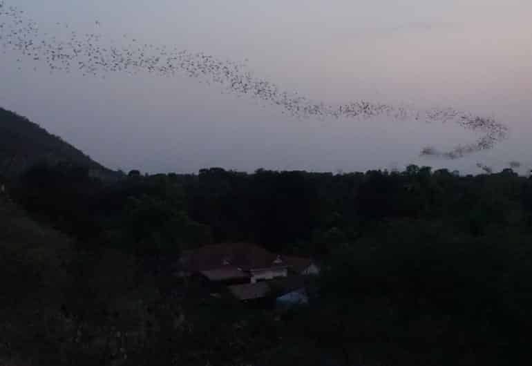 Battambang - Eine kleine Kolonialstadt?