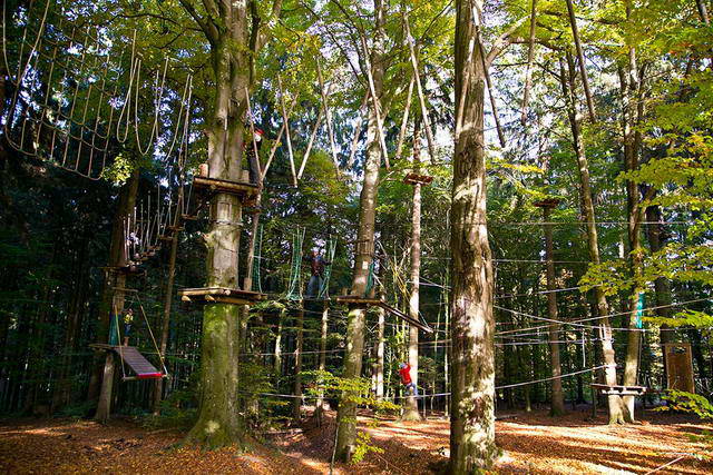 Waldkletterpark Oberbayern - Ausflugsziele & Freizeitangebote in Bayern